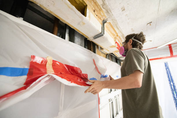 Best Black Mold Removal  in Clearfield, PA