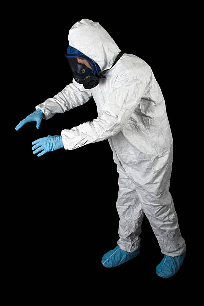 Environmental Consulting for Mold Prevention in Clearfield, PA